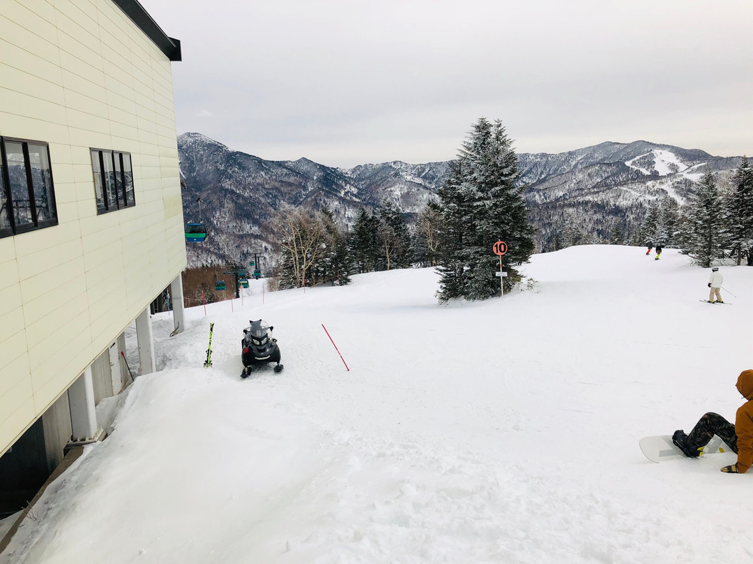 Shigakogen Yakebitaiyama Ski Area景点图片