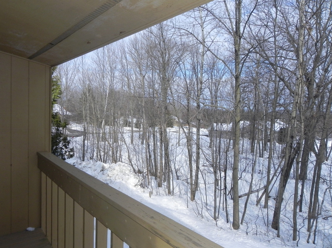 Rib Mountain Inn & Townhouses主图