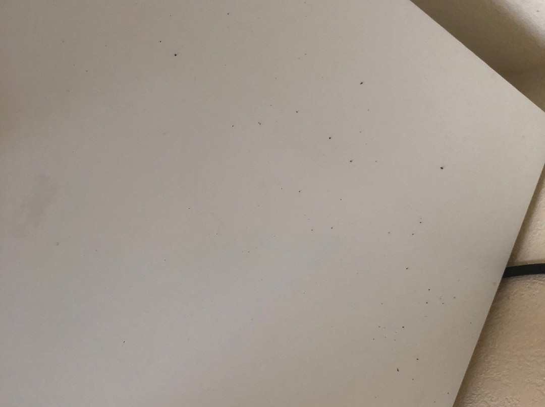 The Palms Hotel and Villas主图