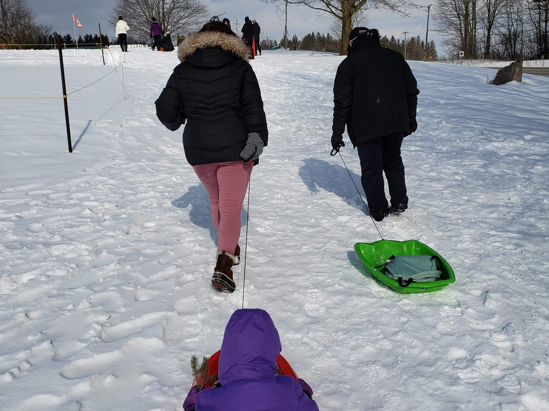 Hy Hope Farm-Ashburn必去景点
