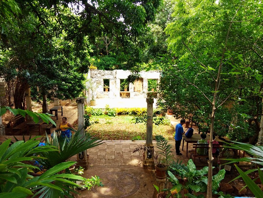 Jardin Tropical景点图片