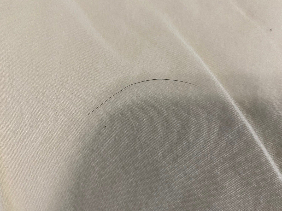 Super 8 by Wyndham Lafayette / Purdue Area主图