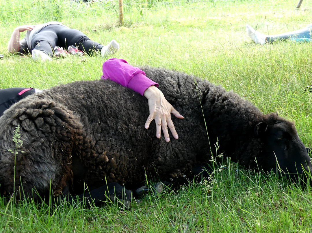 Kaiturin Tila-Masko必去景点