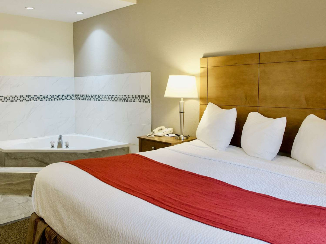 Best Western Thunderbird Motel主图