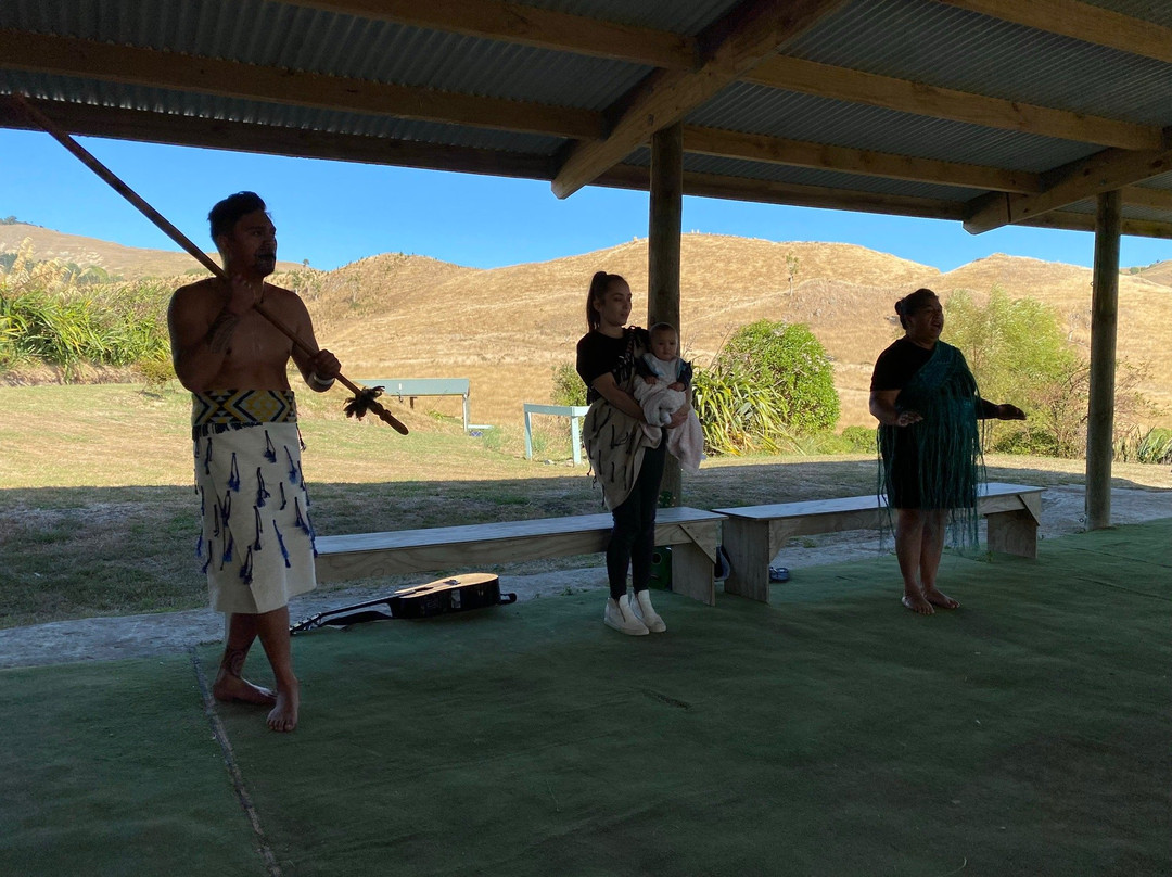 Waimarama Maori Tours-Havelock North必去景点