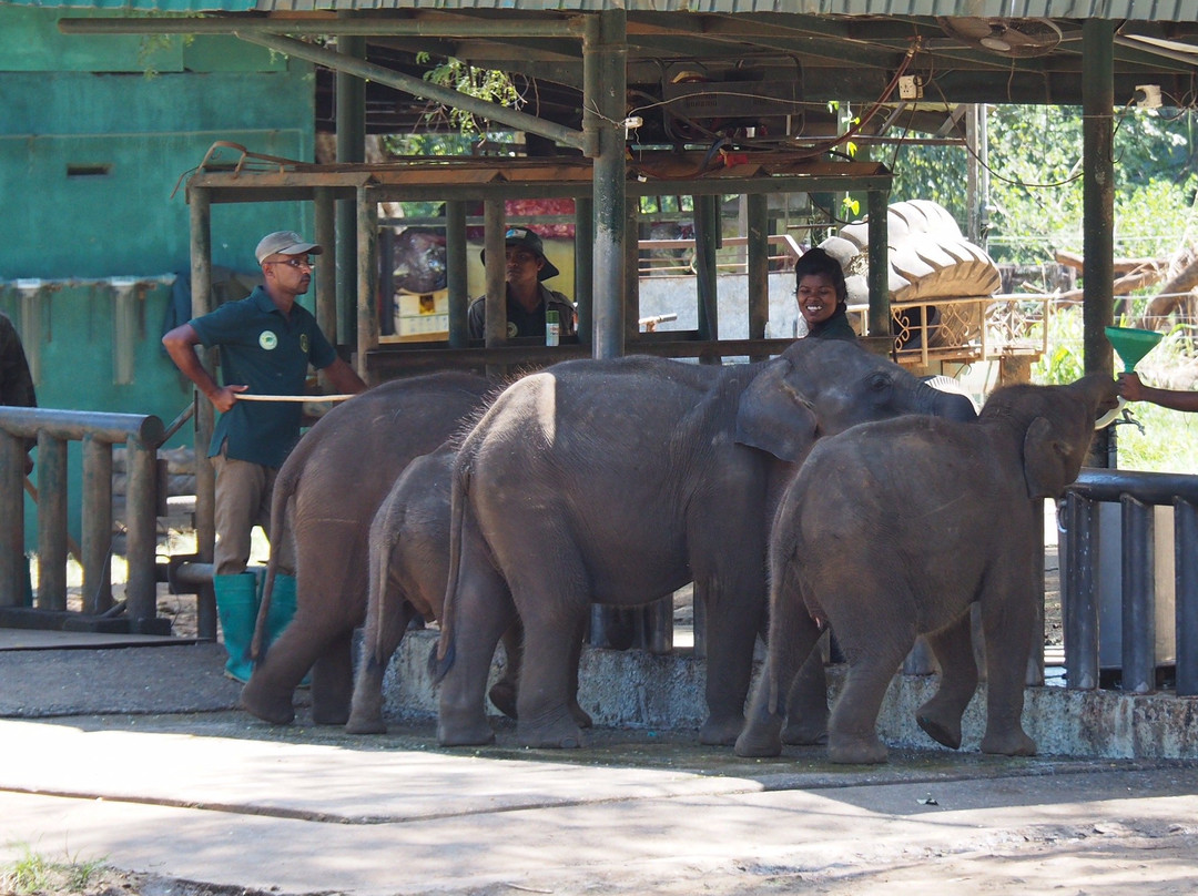 Euphoria Exotic Holidays-Matale必去景点