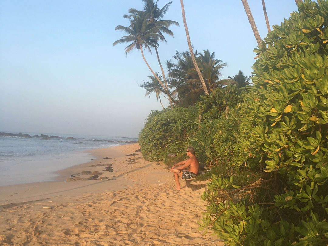 Cocoplant Surf Inn & Surf School主图