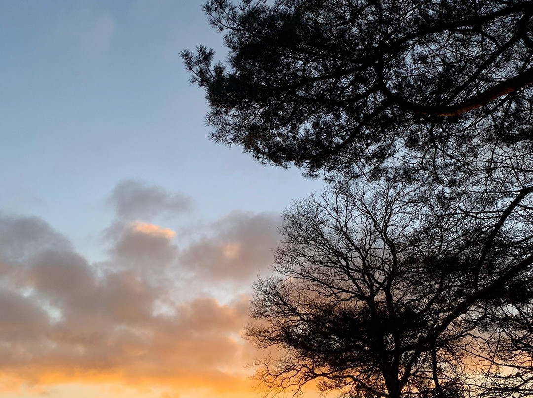 Hotel & Restaurant De Stripe主图