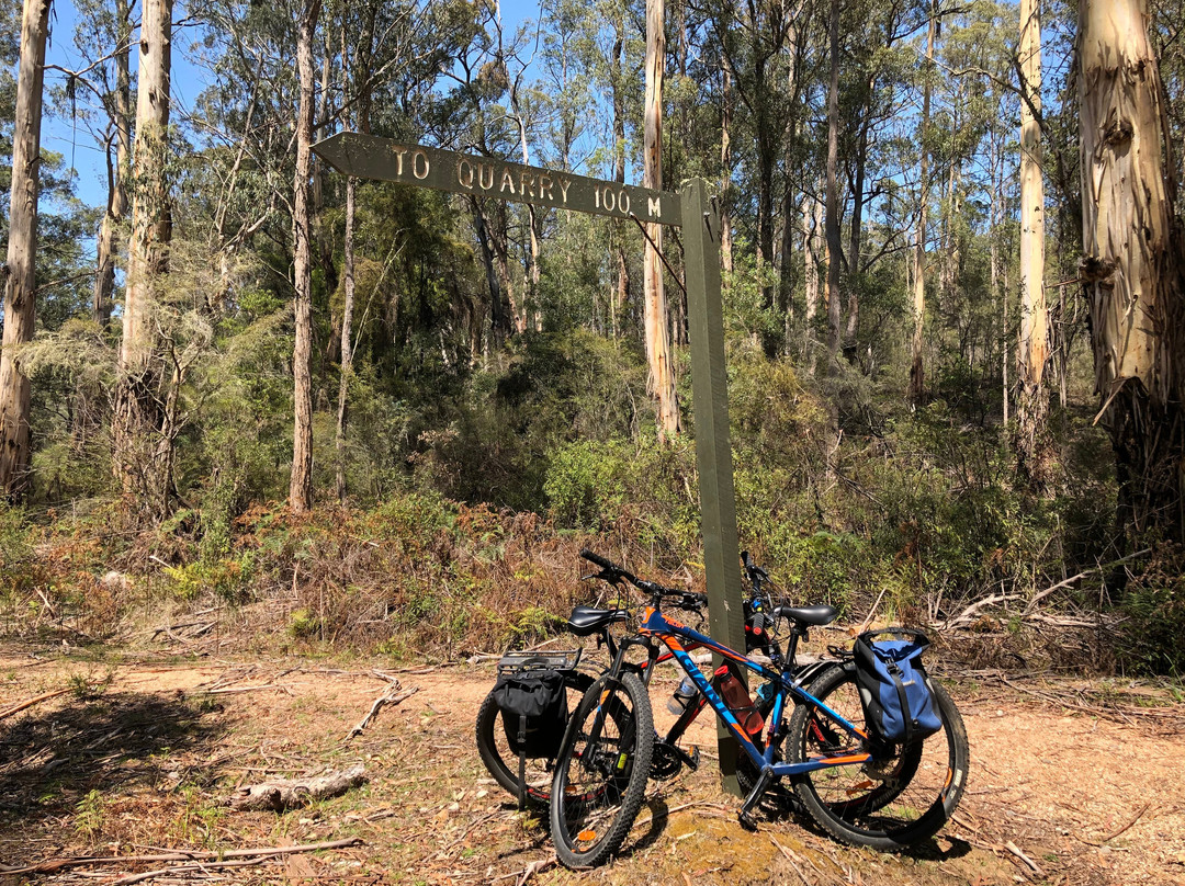 Snowy River Cycling Rail Trail Tours景点图片