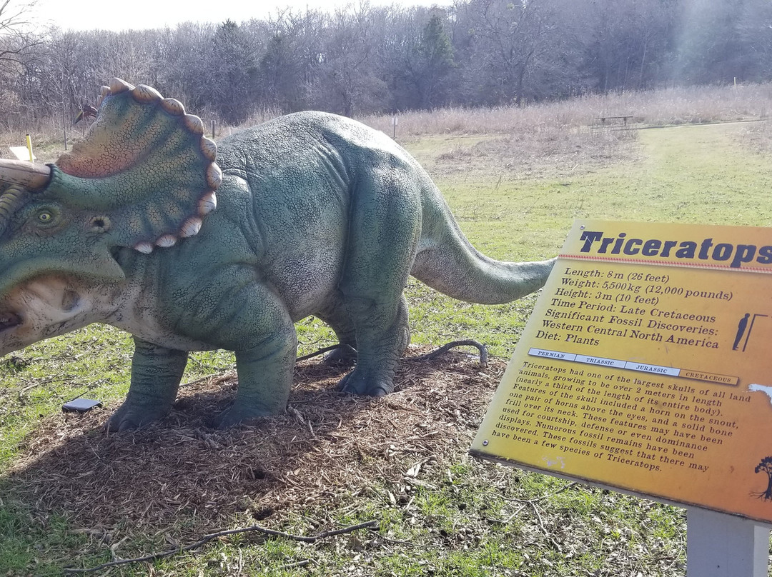 Heard Natural Science Museum & Wildlife Sanctuary-麦金尼必去景点