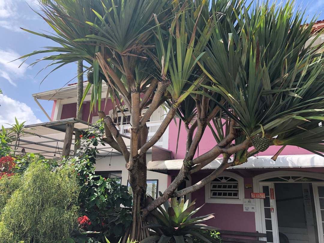 Pousada Do Sol Garopaba主图