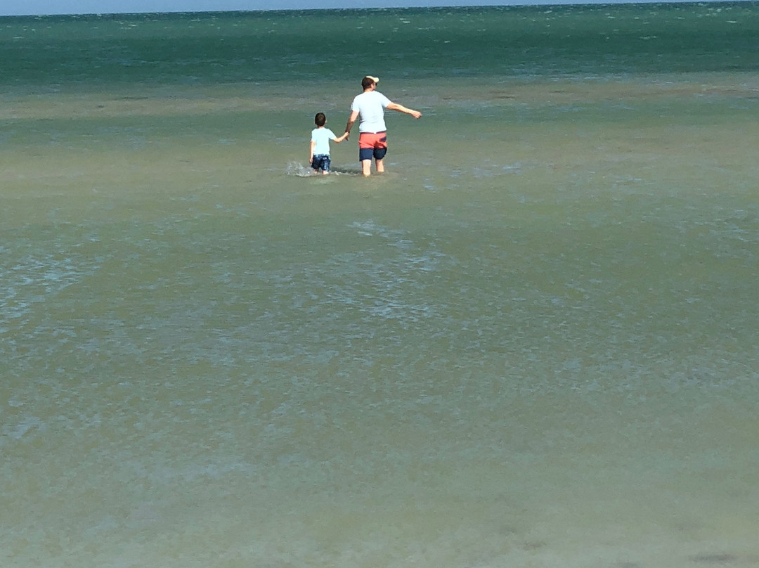 Xixim Mundo Imperial主图