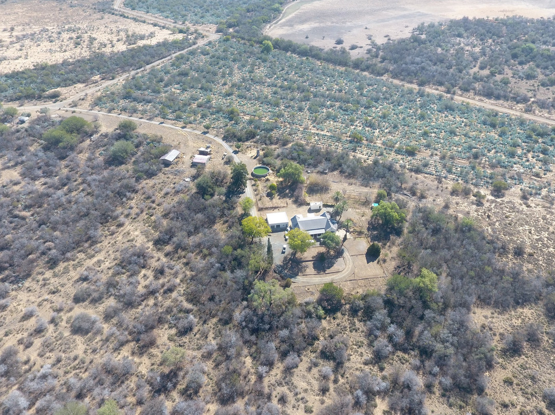 Roode Bloem Farm House主图