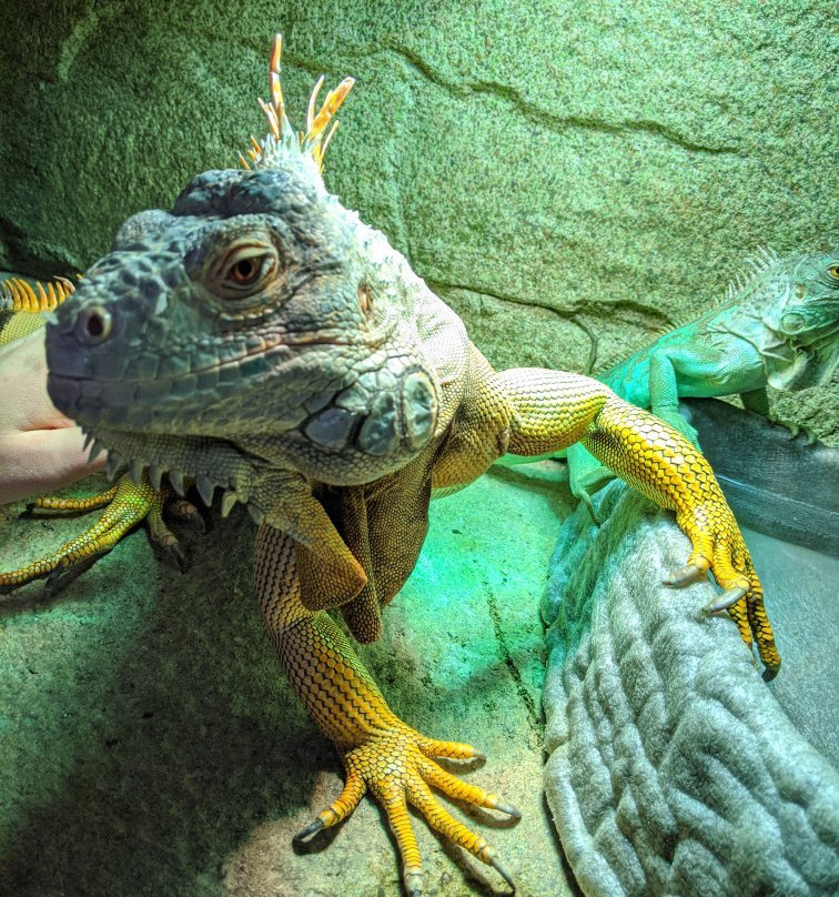 SeaQuest Trumbull-特兰伯尔必去景点