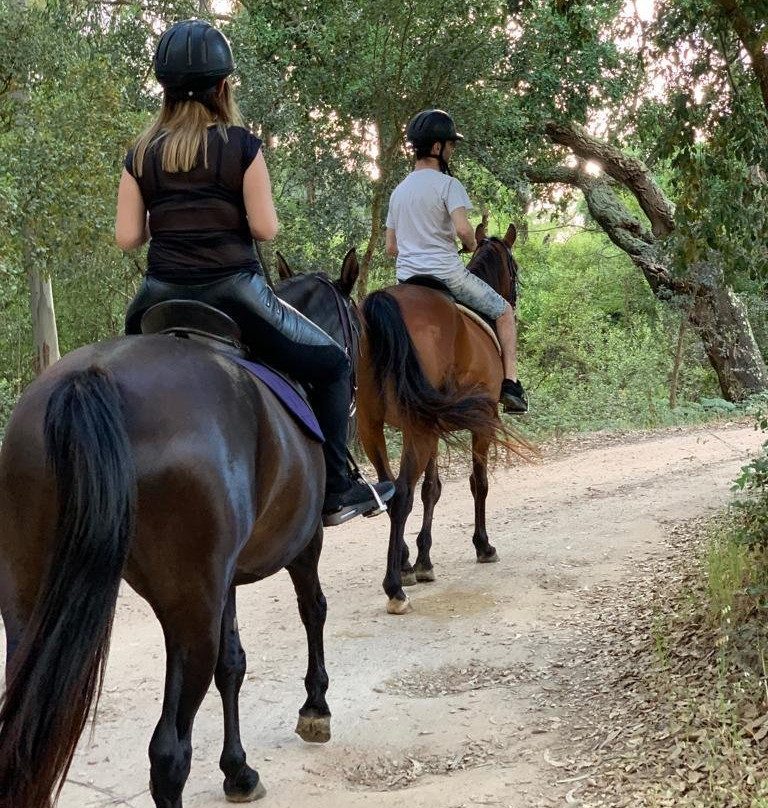 NaturaHorses-Vila Nova de Milfontes必去景点