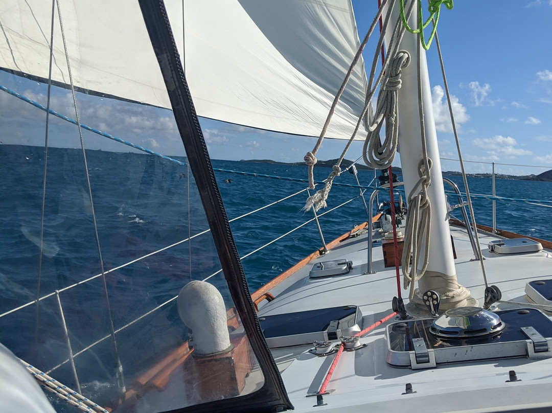 Yacht Rock Charters-Red Hook必去景点