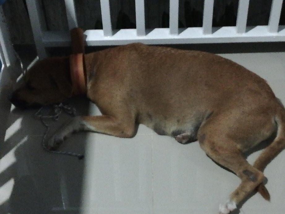 A Villas Resort & Restaurant主图