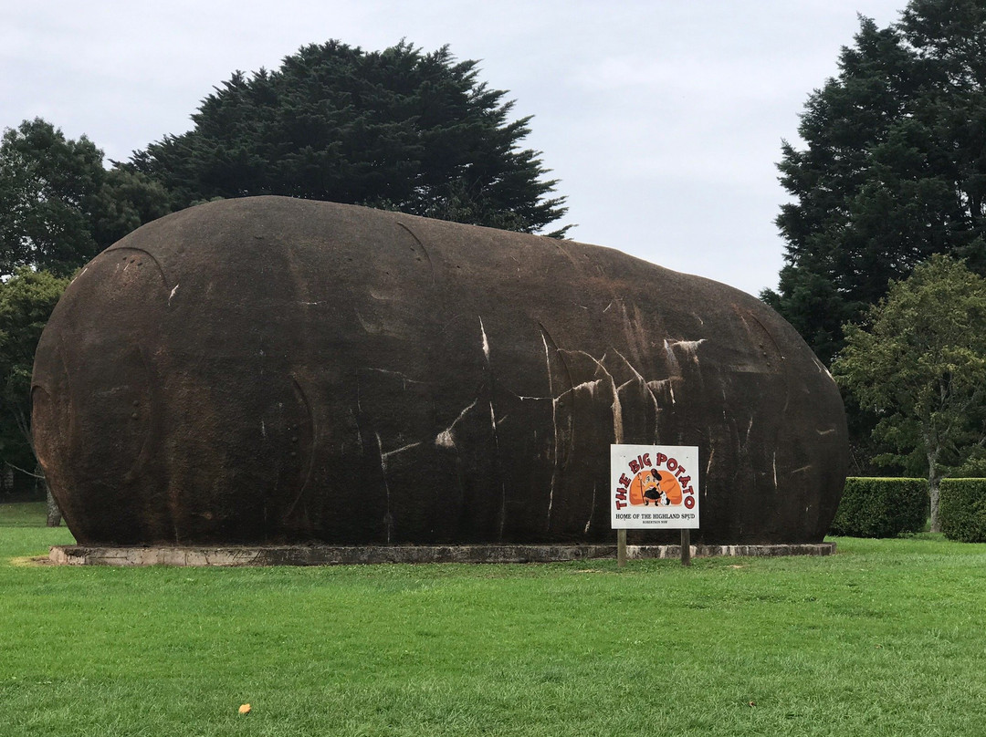 The Big Potato-Robertson必去景点