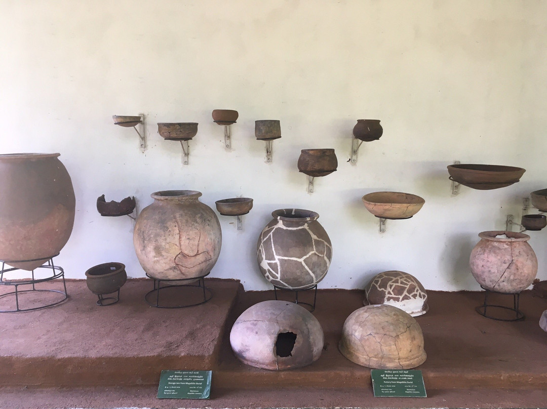Ibbankatuwa Megalithic Tombs景点图片