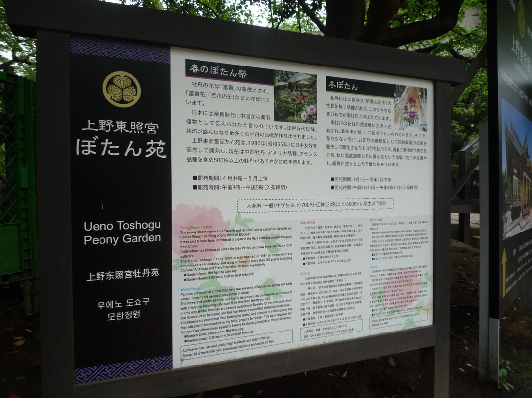 Ueno Toshogu Botanen-Uenokoen必去景点