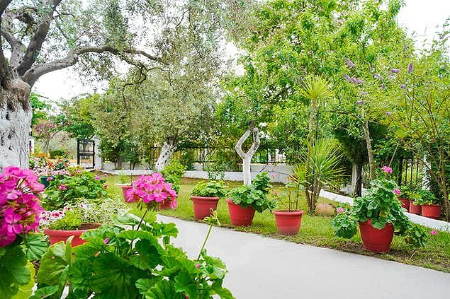 Studios Panagiota's House主图