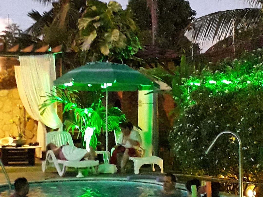 Pousada Palmeira Imperial主图