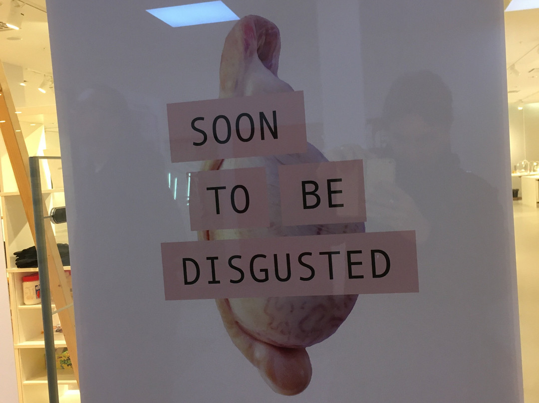 Disgusting Food Museum-马尔默必去景点
