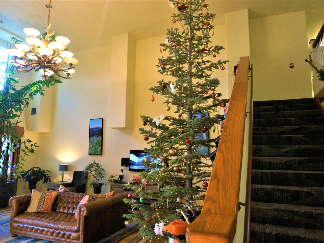 Best Western Rose Quartz Inn主图