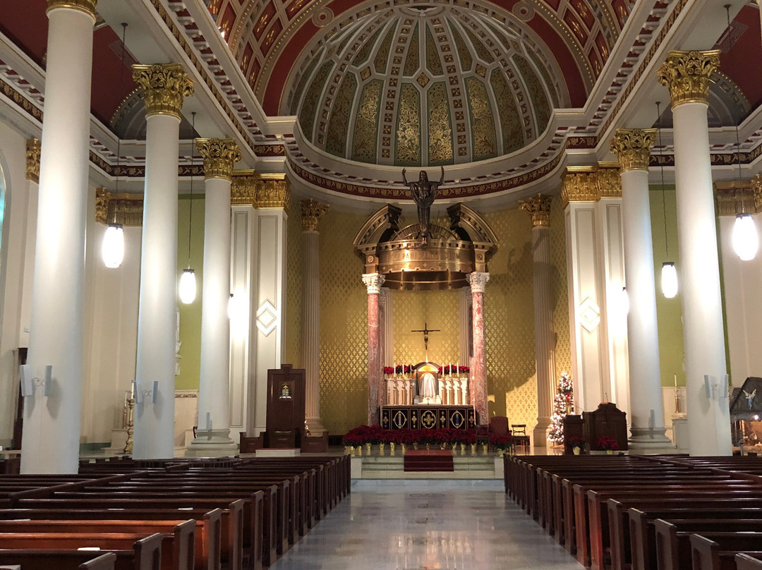 Cathedral of the Immaculate Conception景点图片