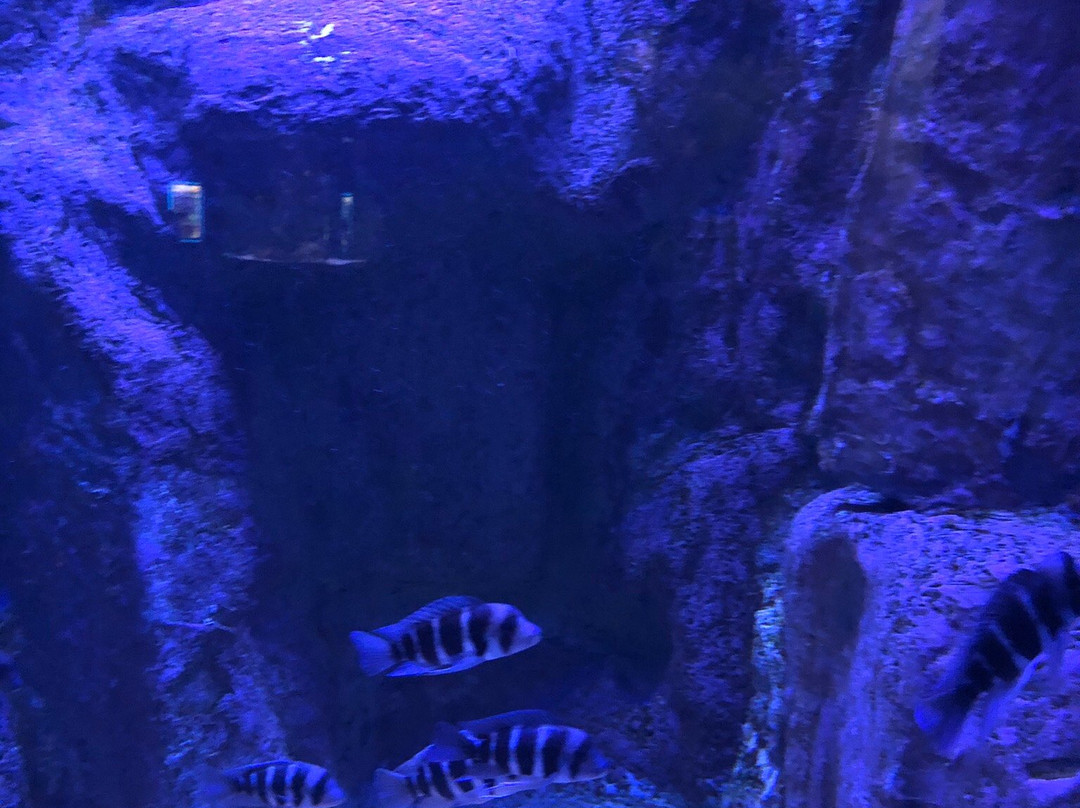 Isfahan Aquarium-Isfahan必去景点