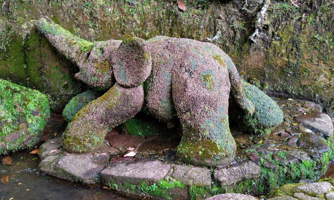 Jardim do Nêgo景点图片