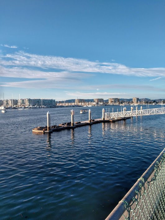 Marina del Rey Harbor-玛丽安德尔湾必去景点