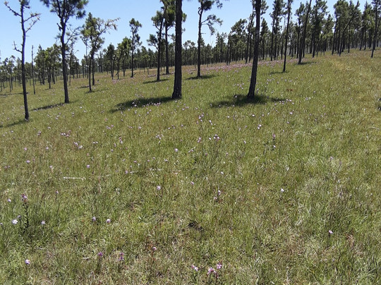 Canion Amola Faca-Sao Jose dos Ausentes必去景点