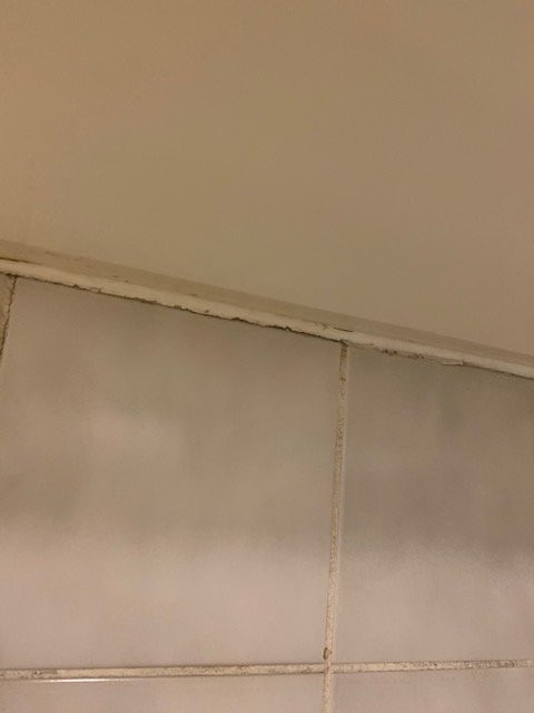 Baymont by Wyndham Helen主图