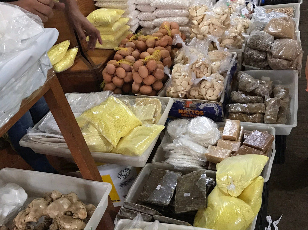 Elias Mansur Municipal Market-Rio Branco必去景点