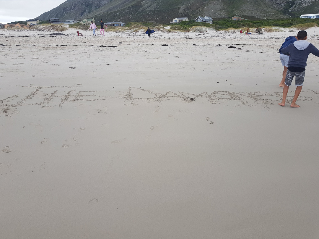 Betty's Bay Main Beach-Betty's Bay必去景点