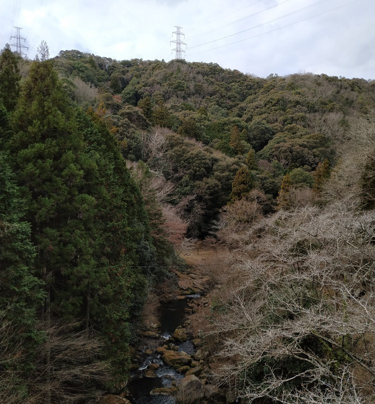 Otaki Valley景点图片