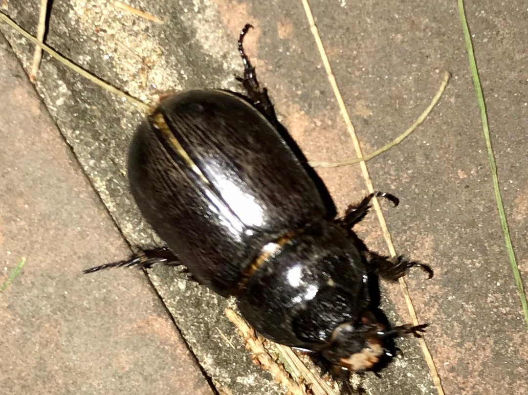 MTDC - Tarkarli Resort主图