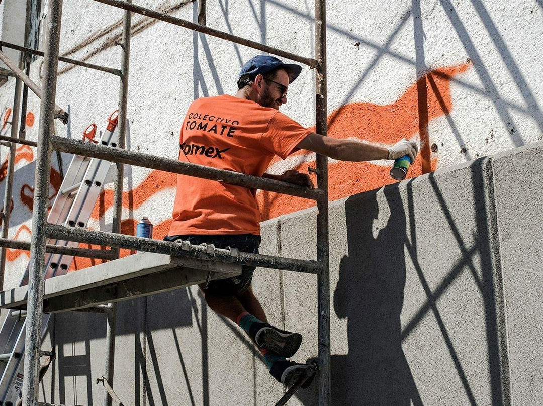 STREET ART LPZ-拉巴斯必去景点