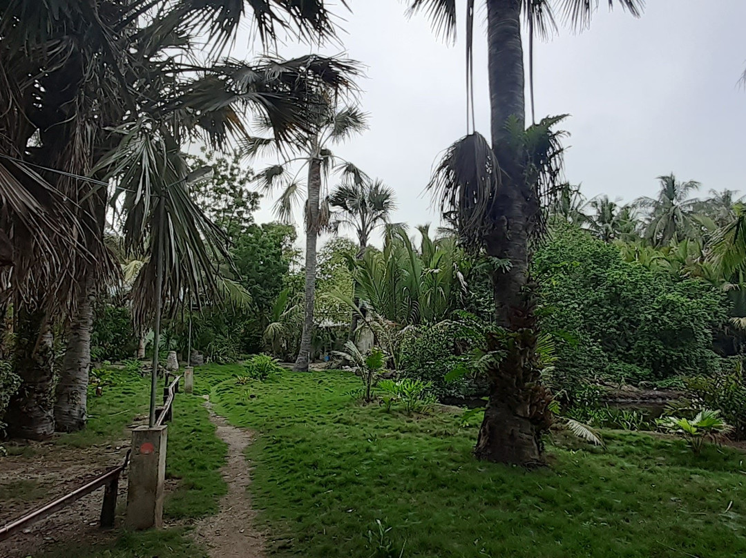 拉埃斯特雷海滩度假村主图