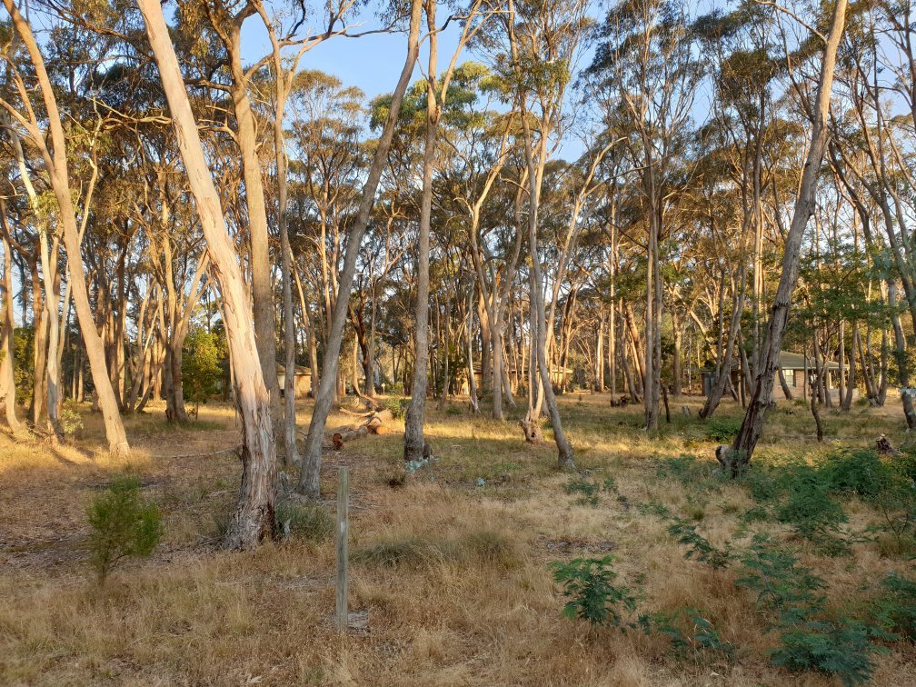 Kyneton Bushland Resort-官方