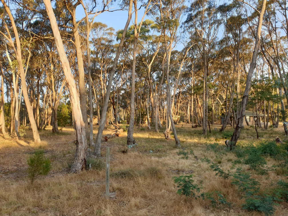 Kyneton Bushland Resort主图