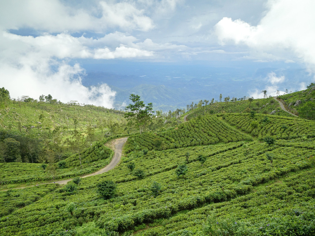 休闲山景假日酒店主图