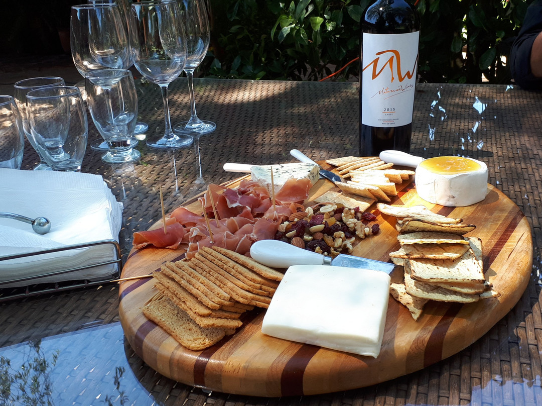 Colchagua Wine Lovers-圣克鲁斯必去景点