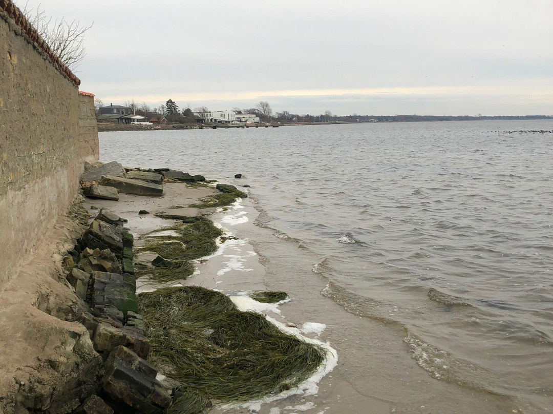 Bjarred Beach景点图片