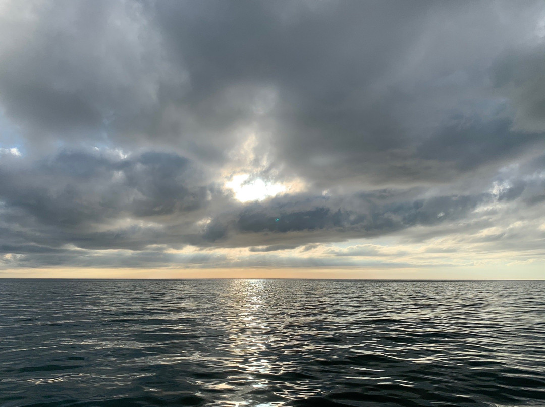 A Boat Day景点图片
