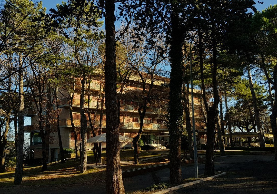 Hotel Michelangelo主图