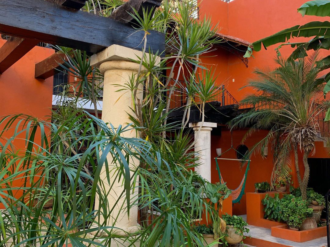 Luz En Yucatan主图