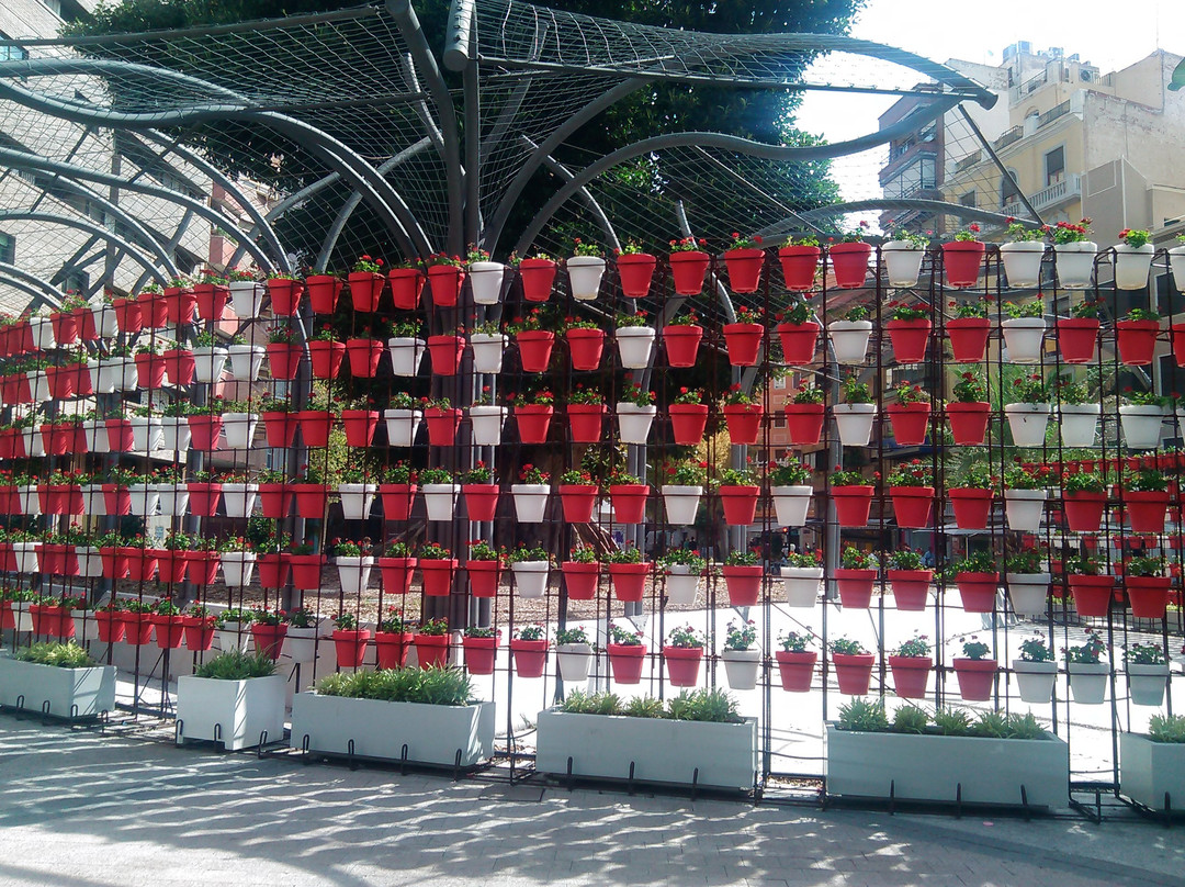 Plaza de las Flores-穆尔西亚必去景点