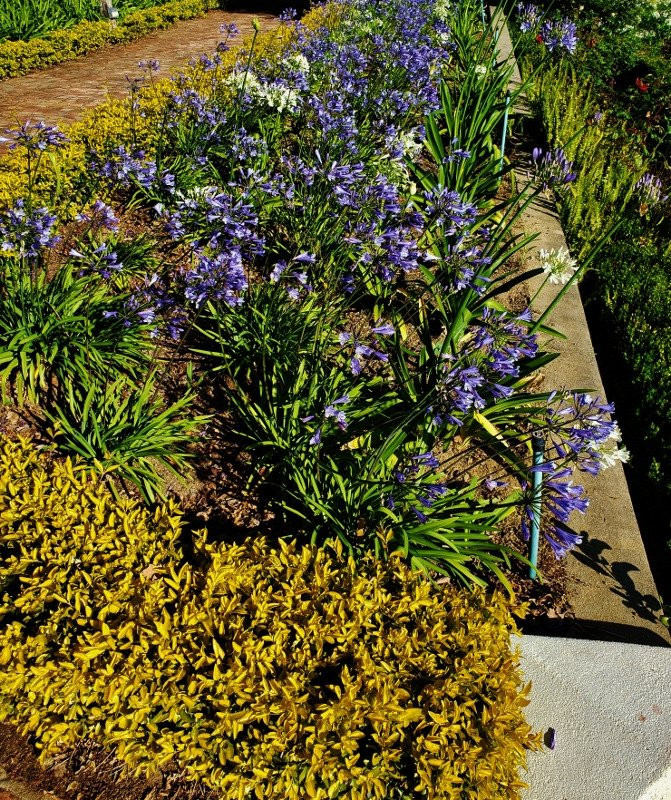 Diamant Estate主图